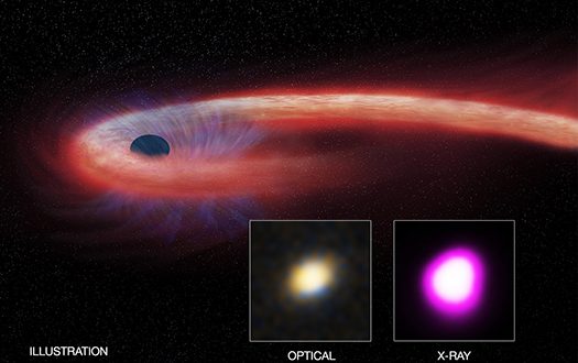 Black Hole Feeds on Star for a Decade, Says New Research