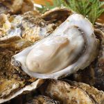 British Columbia oysters linked to recent gastrointestinal illness cases
