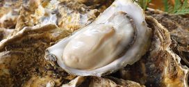 British Columbia oysters linked to recent gastrointestinal illness cases