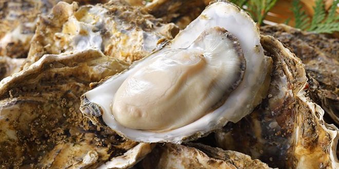 British Columbia oysters linked to recent gastrointestinal illness cases