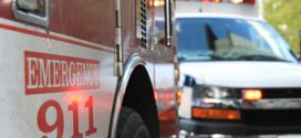 Family pet alerts Clairmont family to fire