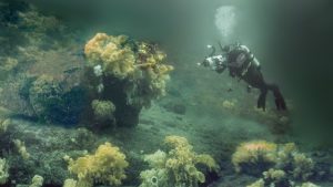 Fisheries minister to announce protection for Northern BC glass sponge reefs