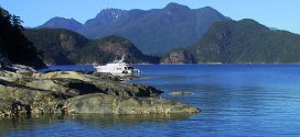 Howe Sound showing recovery, Vancouver Aquarium report finds