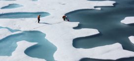 NOAA researchers manipulated climate data to erase global warming pause