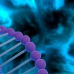 Researchers cautiously lay ground rules for rewriting human DNA
