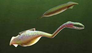 Underwater Alien With Mysterious Origin Baffles Researchers (Photo)