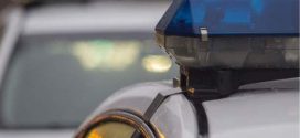 Welland Dog dragged nearly a kilometre from a car, two charged