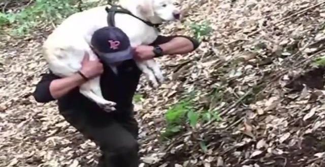 Blind Dog Rescued In Santa Cruz Mountains After a Week Missing