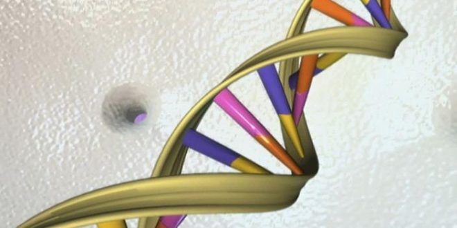 DNA 'mistakes' cause most cancers, New Study Shows