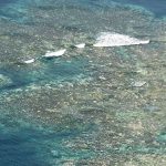 Great Barrier Reef suffers another year of mass bleaching, Report