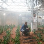 Life On Mars: Astronauts Can Grow Potatoes in Martian Soil