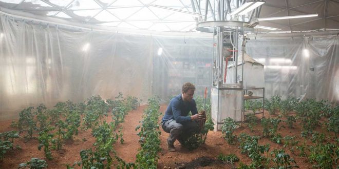 Life On Mars: Astronauts Can Grow Potatoes in Martian Soil