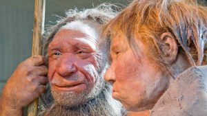 Neanderthal DNA reveals real paleo diet (Research)