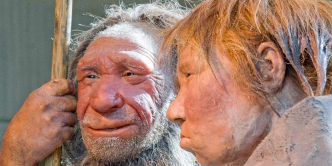 Neanderthal DNA reveals real paleo diet (Research)