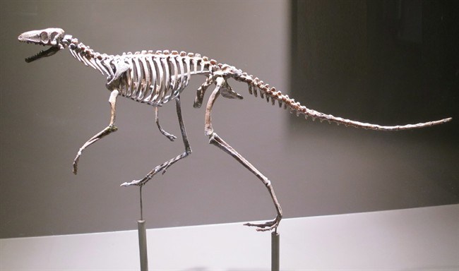 bipedal dinosaurs list