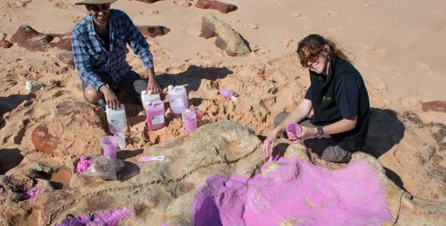 Researchers Discover World's Biggest Dinosaur Footprints