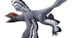 Researchers Have Created The Most Accurate Ever View Of A Dinosaur