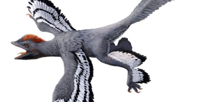 Researchers Have Created The Most Accurate Ever View Of A Dinosaur