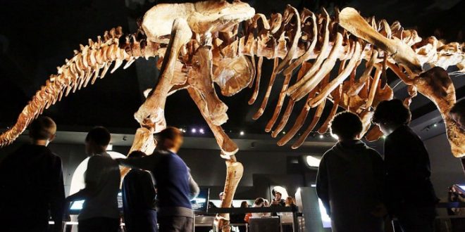 Researchers has re-written 130 years of dinosaur history