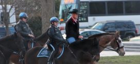 Ryan Zinke: New Interior Secretary Rides A Horse To First Day On The Job
