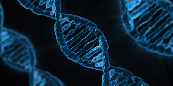 Fake news? Married Couple Discovers They're Actually Biological Twins