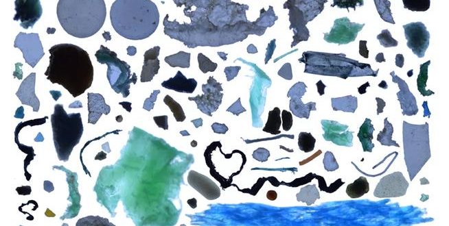 Once-pristine Arctic Ocean contains 300 billion pieces of plastic, says new report