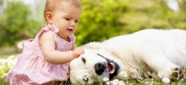 Pet germs can keep your baby healthy, Says New Study