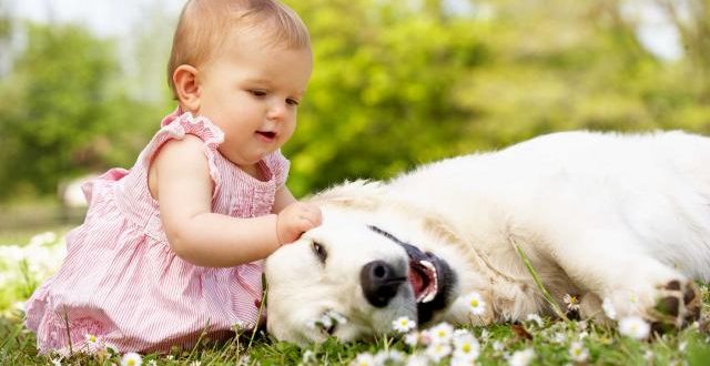 Pet germs can keep your baby healthy, Says New Study