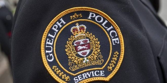 Police: Resident of Guelph apartment building facing animal cruelty charge