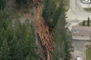 Police say two dead, three hurt in rail crash