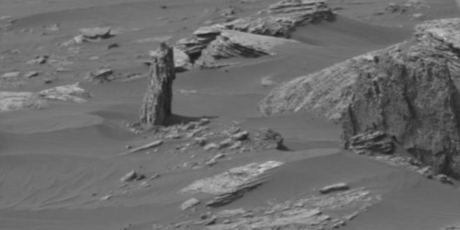 Possible Tree Stump Found On Mars? (Video)