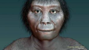 Researchers debunk theory that hobbits were man's cousin
