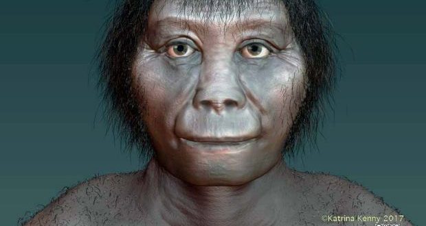 Researchers debunk theory that hobbits were man’s cousin