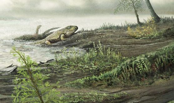 Antibiotic-resistant microbes evolved prior to dinosaurs, says new research