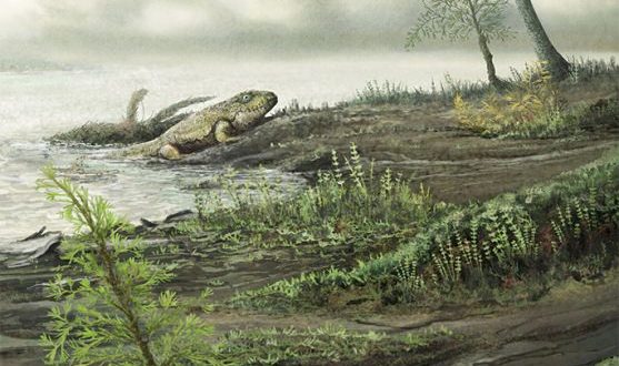 Antibiotic-resistant microbes evolved prior to dinosaurs, says new study