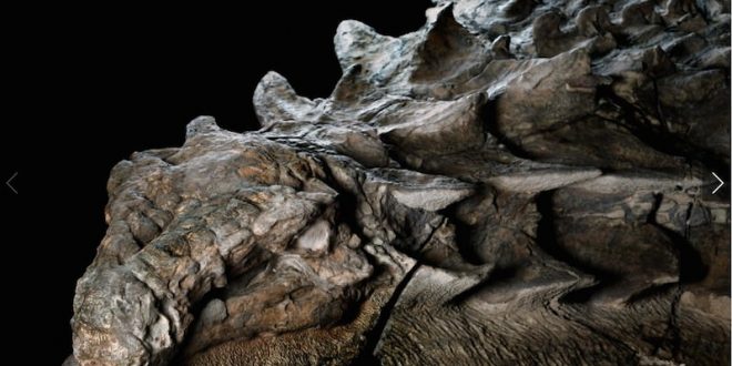Archeologists found a dinosaur that still has its skin and guts