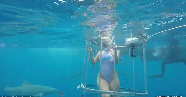 Porn Star attacked by shark during Florida film shoot (Video)