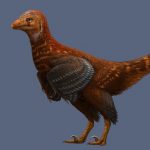 Research delves into why flightless dinosaur had feathers