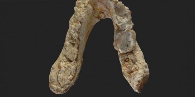 Researchers find 7.2-million-year-old pre-human remains in the Balkans