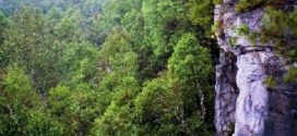 Young woman dies after falling off cliff at Rattlesnake Point in Milton