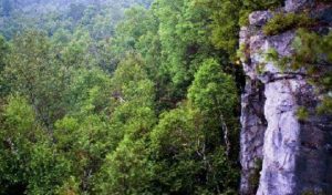 Young woman dies after falling off cliff at Rattlesnake Point in Milton