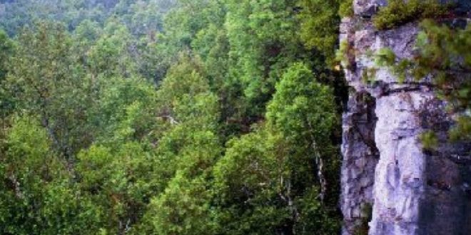 Young woman dies after falling off cliff at Rattlesnake Point in Milton