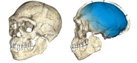 300000-Year-Old Homo Sapiens Fossils Uncovered in Morocco