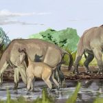 Researchers have uncovered the DNA of Ice age animals