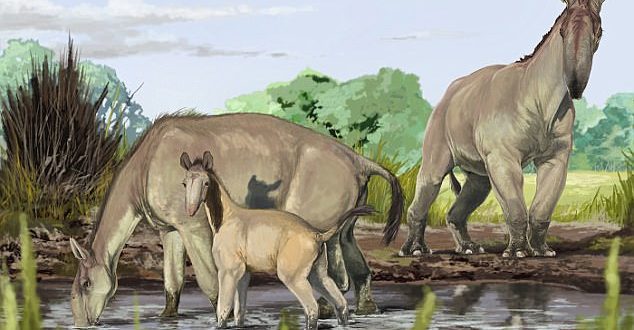 Researchers have uncovered the DNA of Ice age animals