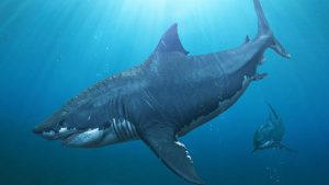 Scientists identify extinction event among marine megafauna