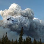 Smoke from Wildfires Can Have Lasting Climate Impact, A New Study Reveals