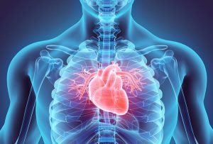 This essential heart-surgery device poses deadly risk, a new study reveals