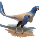 Albertavenator curriei: New species of bird-like dinosaur discovered