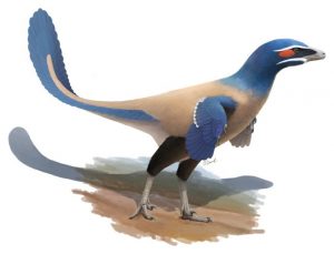 Albertavenator curriei: New species of bird-like dinosaur discovered